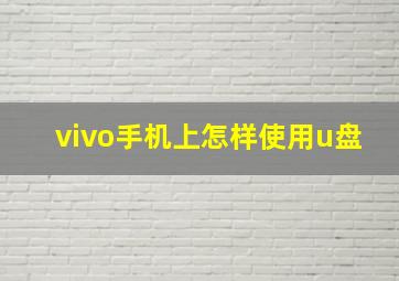 vivo手机上怎样使用u盘