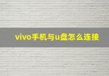 vivo手机与u盘怎么连接