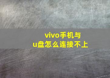 vivo手机与u盘怎么连接不上