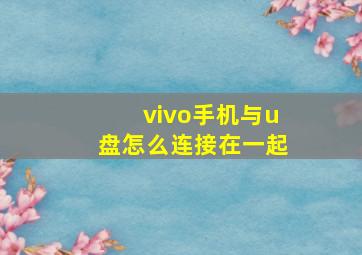 vivo手机与u盘怎么连接在一起