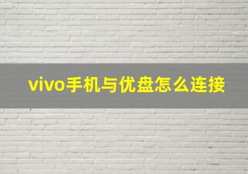 vivo手机与优盘怎么连接