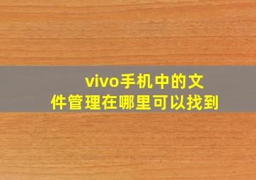 vivo手机中的文件管理在哪里可以找到