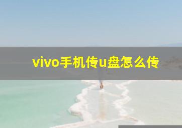 vivo手机传u盘怎么传