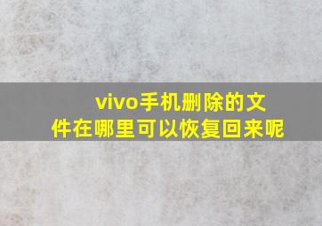 vivo手机删除的文件在哪里可以恢复回来呢