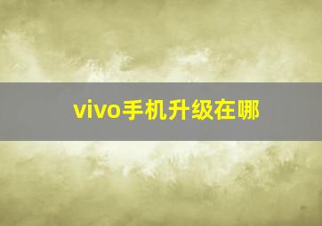 vivo手机升级在哪