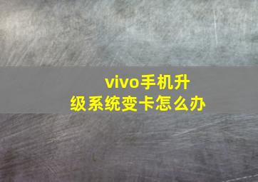 vivo手机升级系统变卡怎么办