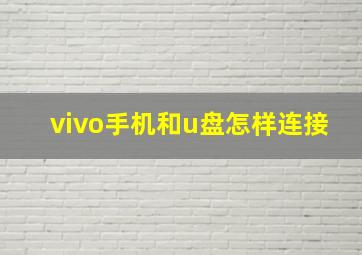 vivo手机和u盘怎样连接