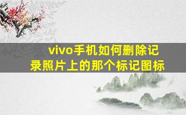 vivo手机如何删除记录照片上的那个标记图标