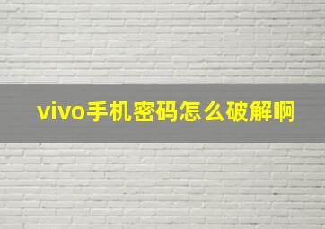 vivo手机密码怎么破解啊