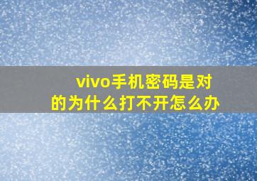 vivo手机密码是对的为什么打不开怎么办