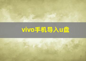 vivo手机导入u盘