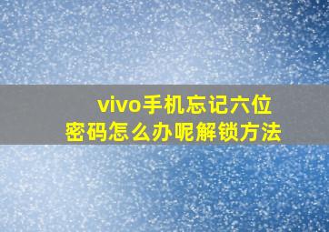 vivo手机忘记六位密码怎么办呢解锁方法