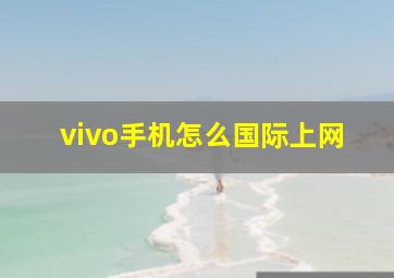 vivo手机怎么国际上网