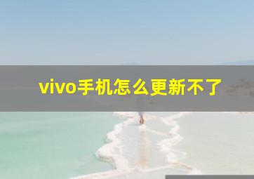 vivo手机怎么更新不了