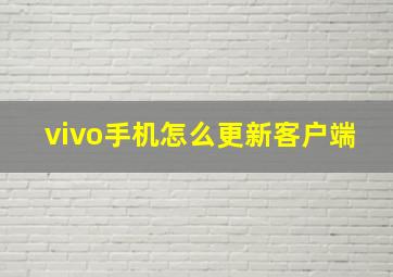 vivo手机怎么更新客户端