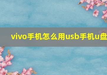 vivo手机怎么用usb手机u盘