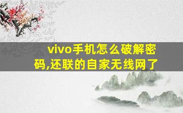 vivo手机怎么破解密码,还联的自家无线网了