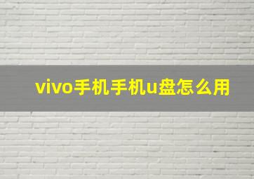 vivo手机手机u盘怎么用