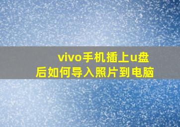 vivo手机插上u盘后如何导入照片到电脑