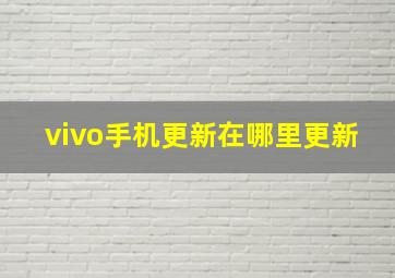 vivo手机更新在哪里更新