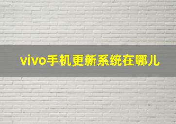 vivo手机更新系统在哪儿