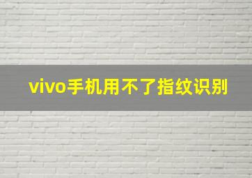 vivo手机用不了指纹识别