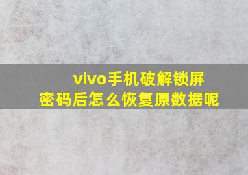 vivo手机破解锁屏密码后怎么恢复原数据呢