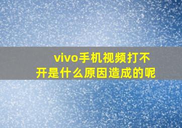 vivo手机视频打不开是什么原因造成的呢