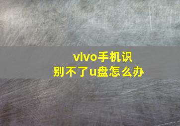 vivo手机识别不了u盘怎么办