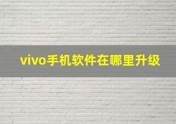 vivo手机软件在哪里升级