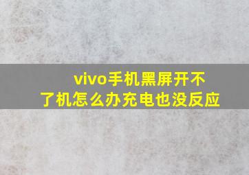 vivo手机黑屏开不了机怎么办充电也没反应