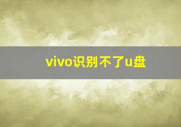 vivo识别不了u盘