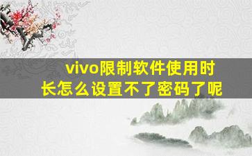 vivo限制软件使用时长怎么设置不了密码了呢