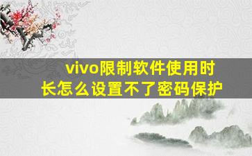 vivo限制软件使用时长怎么设置不了密码保护