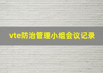 vte防治管理小组会议记录