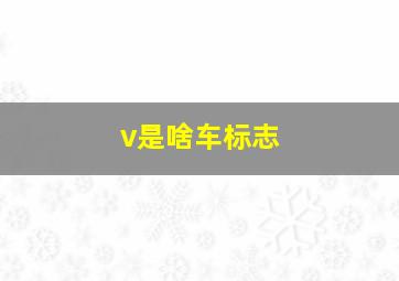 v是啥车标志