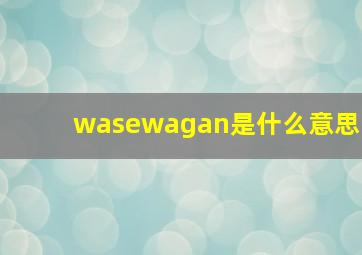 wasewagan是什么意思