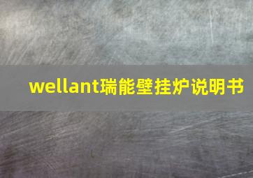 wellant瑞能壁挂炉说明书