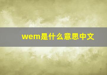 wem是什么意思中文