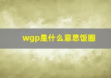 wgp是什么意思饭圈