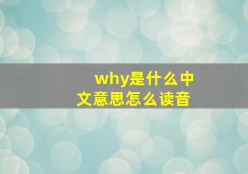 why是什么中文意思怎么读音