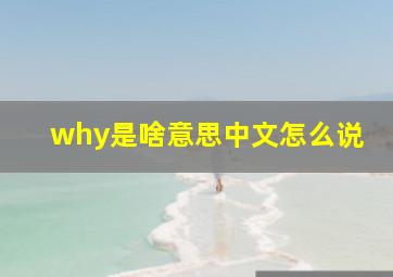 why是啥意思中文怎么说