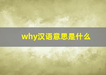 why汉语意思是什么