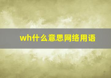 wh什么意思网络用语