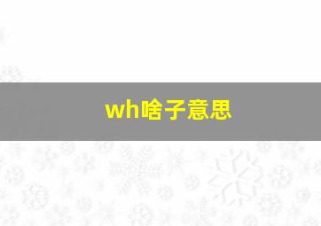 wh啥子意思