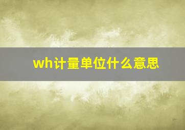 wh计量单位什么意思