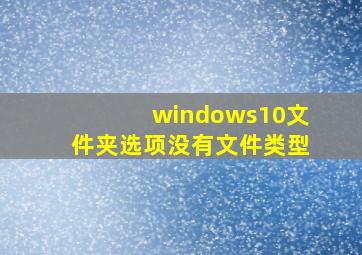 windows10文件夹选项没有文件类型