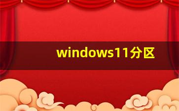 windows11分区