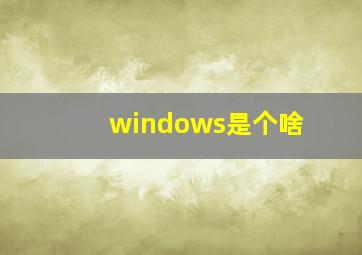 windows是个啥