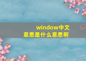 window中文意思是什么意思啊